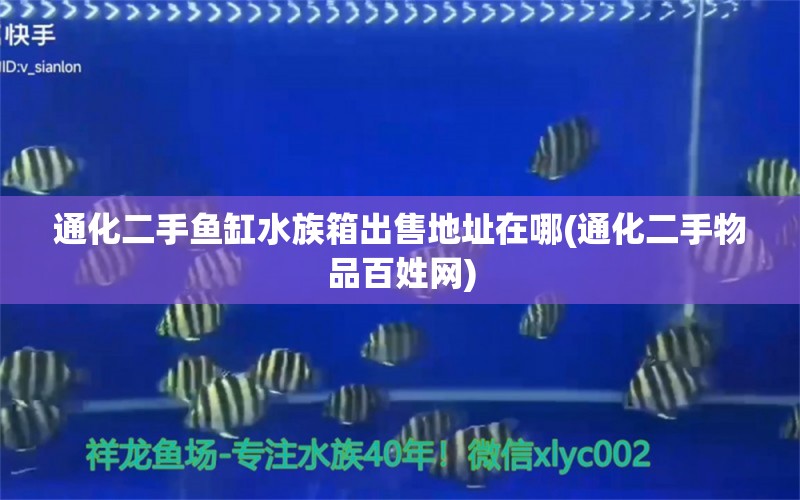 通化二手魚缸水族箱出售地址在哪(通化二手物品百姓網(wǎng))