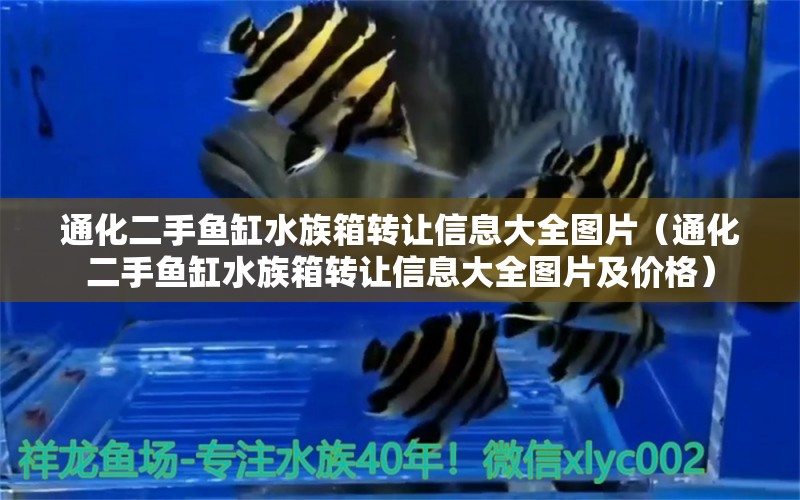 通化二手魚缸水族箱轉讓信息大全圖片（通化二手魚缸水族箱轉讓信息大全圖片及價格）