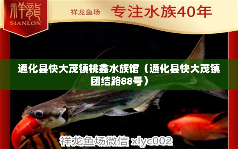 通化縣快大茂鎮(zhèn)桃鑫水族館（通化縣快大茂鎮(zhèn)團(tuán)結(jié)路88號(hào)）