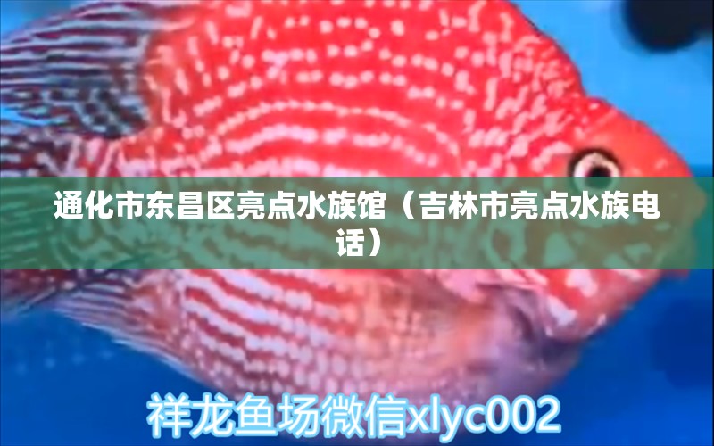 通化市東昌區(qū)亮點(diǎn)水族館（吉林市亮點(diǎn)水族電話）