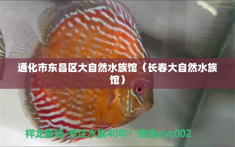 通化市東昌區(qū)大自然水族館（長(zhǎng)春大自然水族館） 全國(guó)水族館企業(yè)名錄