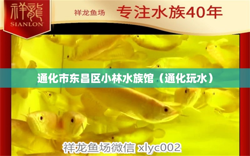 通化市東昌區(qū)小林水族館（通化玩水） 全國(guó)水族館企業(yè)名錄