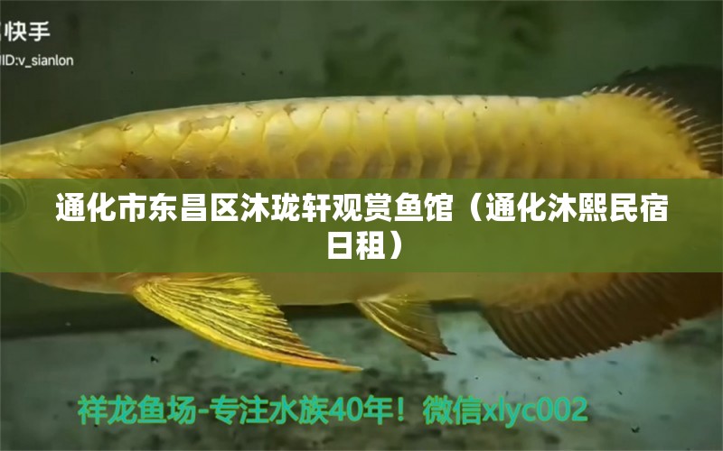 通化市東昌區(qū)沐瓏軒觀賞魚館（通化沐熙民宿日租）