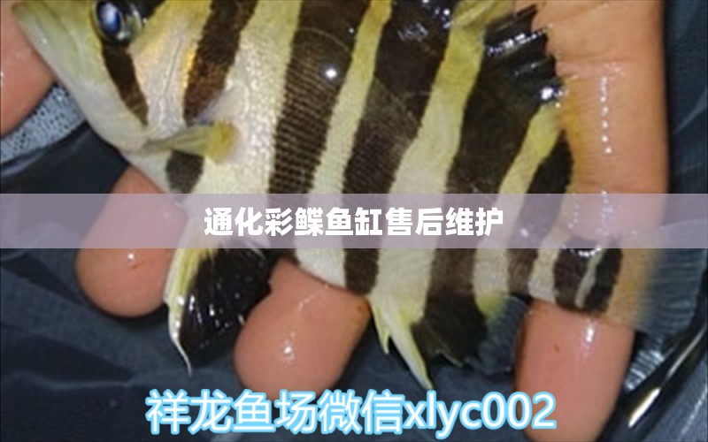 通化彩鰈魚缸售后維護(hù) 彩鰈魚缸（彩蝶魚缸）