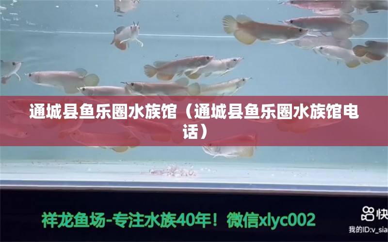 通城縣魚樂圈水族館（通城縣魚樂圈水族館電話） 全國水族館企業(yè)名錄