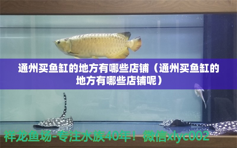 通州買魚缸的地方有哪些店鋪（通州買魚缸的地方有哪些店鋪呢） 觀賞魚水族批發(fā)市場