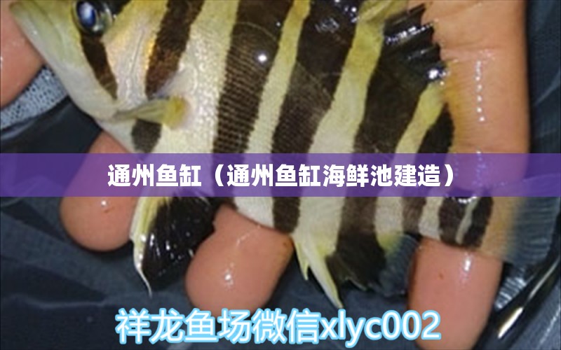 通州魚缸（通州魚缸海鮮池建造）