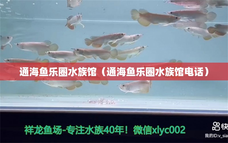 通海魚樂(lè)圈水族館（通海魚樂(lè)圈水族館電話） 全國(guó)水族館企業(yè)名錄