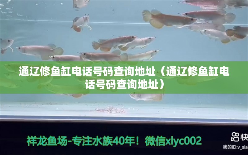 通遼修魚缸電話號碼查詢地址（通遼修魚缸電話號碼查詢地址）