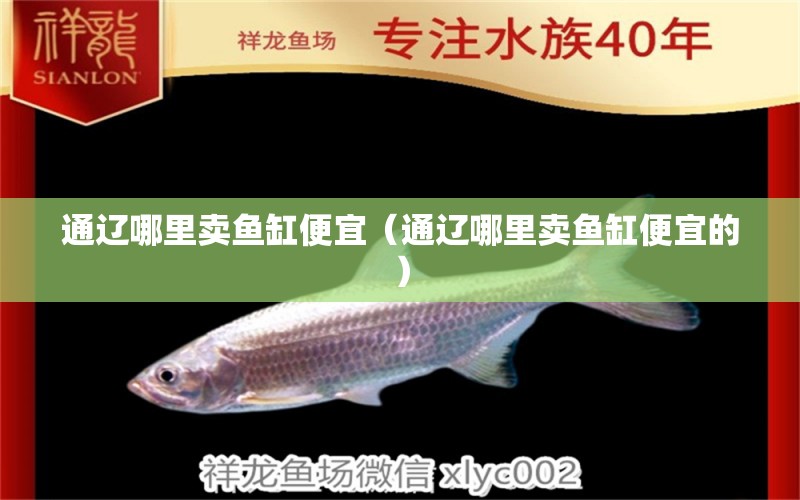 通遼哪里賣魚缸便宜（通遼哪里賣魚缸便宜的） 其他品牌魚缸