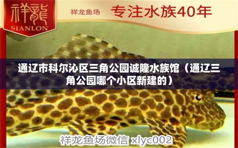 通遼市科爾沁區(qū)三角公園誠隆水族館（通遼三角公園哪個小區(qū)新建的）