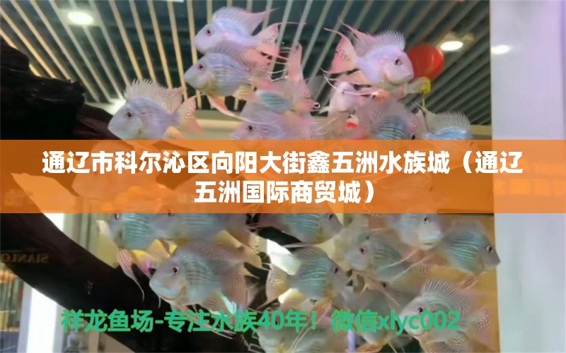 通遼市科爾沁區(qū)向陽大街鑫五洲水族城（通遼五洲國際商貿(mào)城）