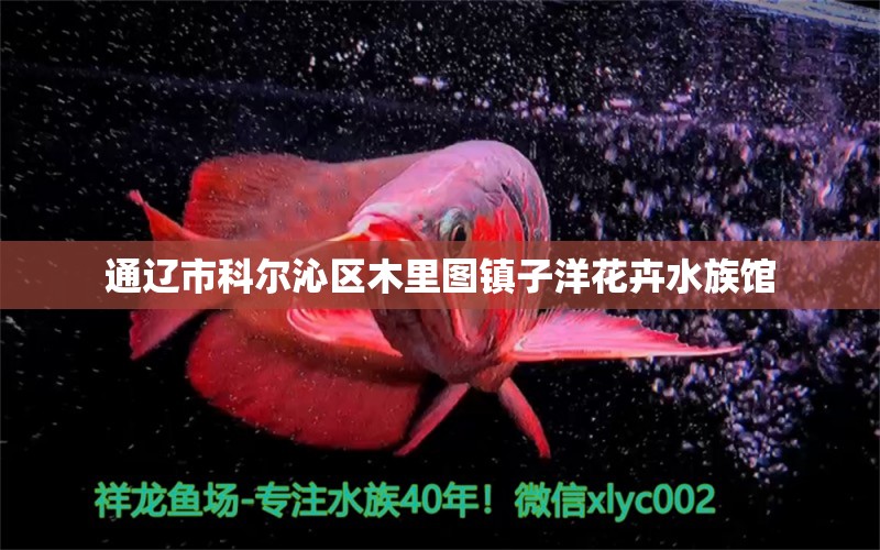 通遼市科爾沁區(qū)木里圖鎮(zhèn)子洋花卉水族館