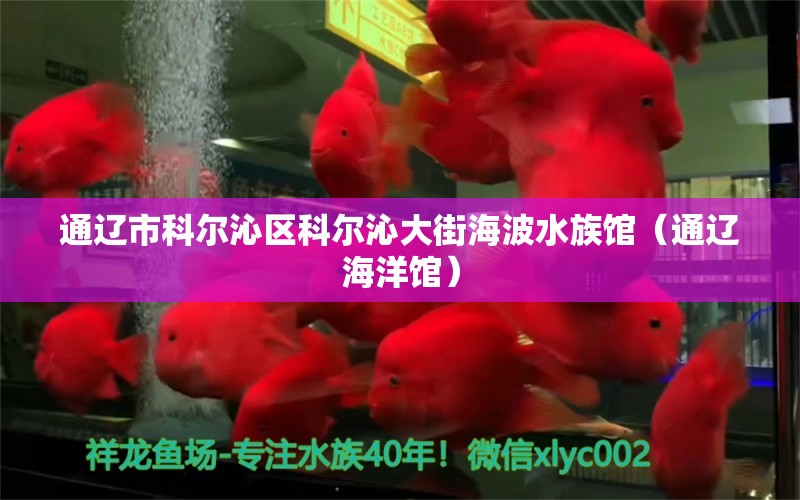 通遼市科爾沁區(qū)科爾沁大街海波水族館（通遼海洋館） 全國水族館企業(yè)名錄