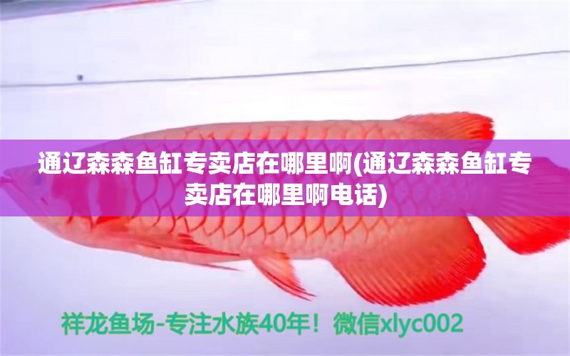 通遼森森魚缸專賣店在哪里啊(通遼森森魚缸專賣店在哪里啊電話) 一眉道人魚