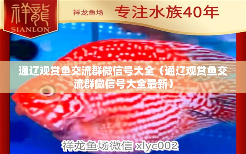 通遼觀賞魚交流群微信號(hào)大全（通遼觀賞魚交流群微信號(hào)大全最新）