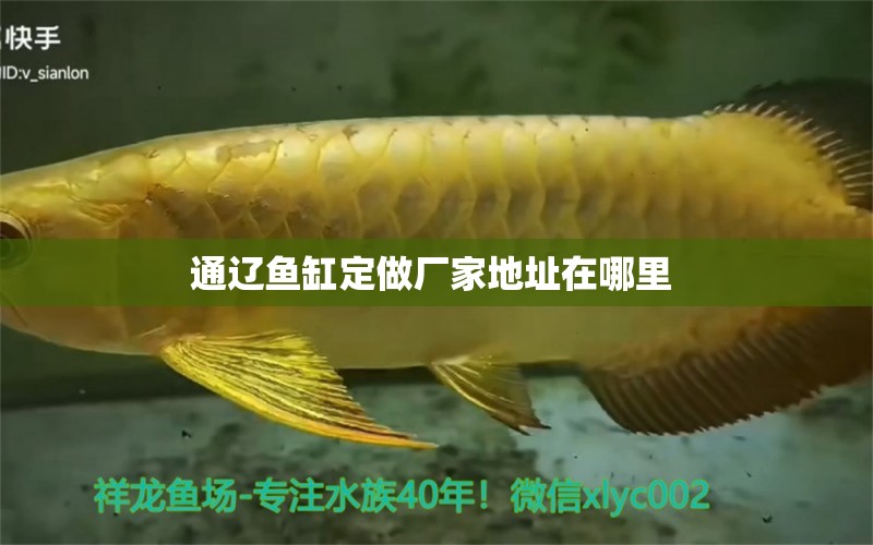 通遼魚缸定做廠家地址在哪里 