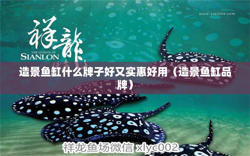 造景魚缸什么牌子好又實惠好用（造景魚缸品牌） 烏龜