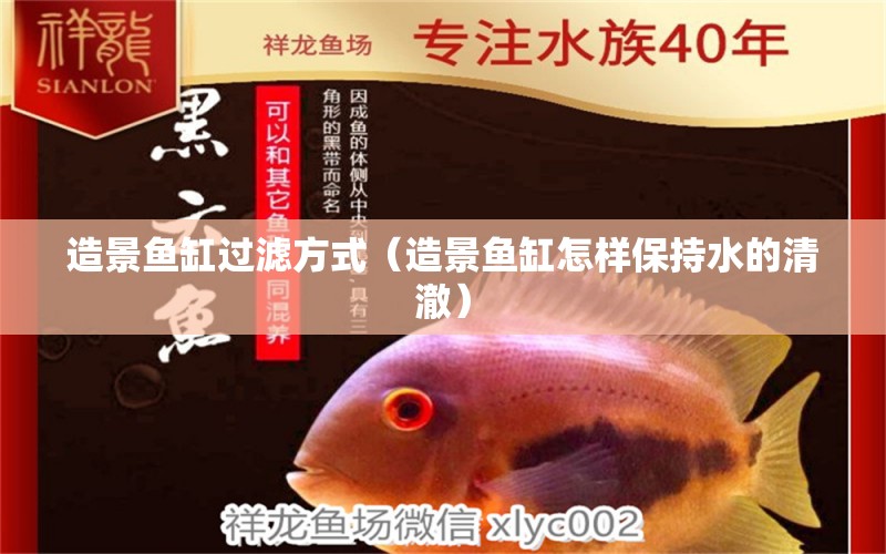 造景魚缸過(guò)濾方式（造景魚缸怎樣保持水的清澈）