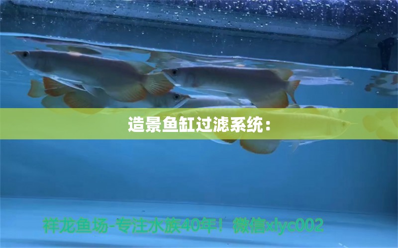 造景魚缸過濾系統(tǒng)：