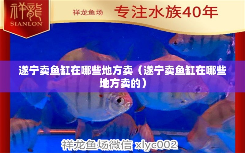 遂寧賣魚缸在哪些地方賣（遂寧賣魚缸在哪些地方賣的）