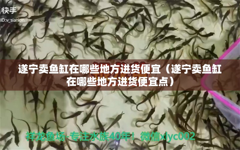 遂寧賣魚缸在哪些地方進貨便宜（遂寧賣魚缸在哪些地方進貨便宜點） 觀賞魚市場（混養(yǎng)魚）