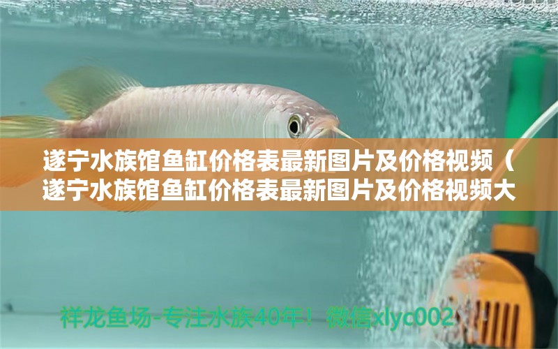 遂寧水族館魚缸價(jià)格表最新圖片及價(jià)格視頻（遂寧水族館魚缸價(jià)格表最新圖片及價(jià)格視頻大全）