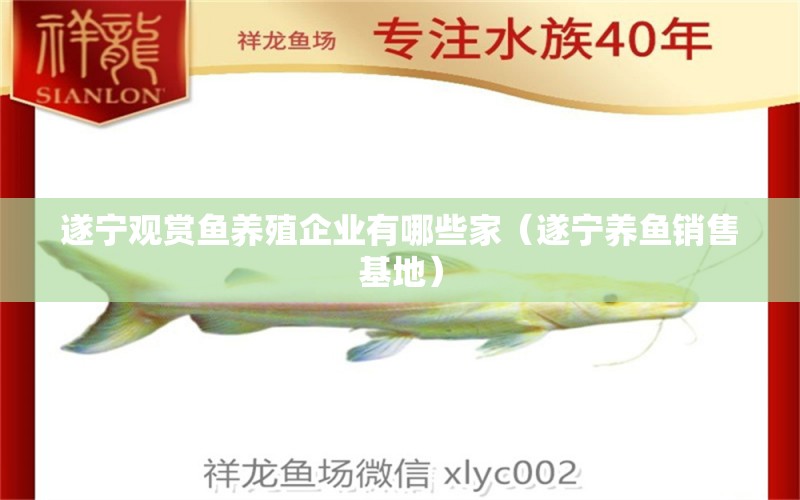 遂寧觀賞魚養(yǎng)殖企業(yè)有哪些家（遂寧養(yǎng)魚銷售基地）