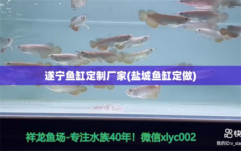 遂寧魚缸定制廠家(鹽城魚缸定做)