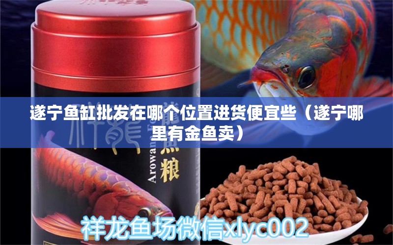 遂寧魚缸批發(fā)在哪個位置進貨便宜些（遂寧哪里有金魚賣） 暹羅巨鯉