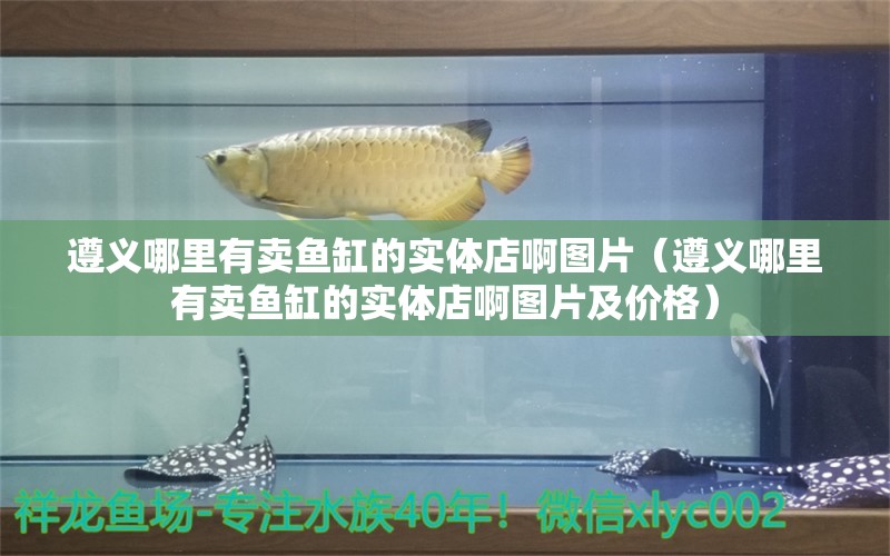 遵義哪里有賣魚缸的實(shí)體店啊圖片（遵義哪里有賣魚缸的實(shí)體店啊圖片及價(jià)格） 稀有金龍魚