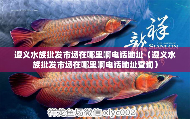 遵義水族批發(fā)市場(chǎng)在哪里啊電話地址（遵義水族批發(fā)市場(chǎng)在哪里啊電話地址查詢）