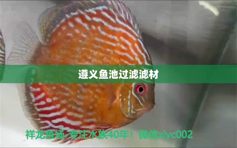 遵義魚池過濾濾材 廣州水族器材濾材批發(fā)市場(chǎng)