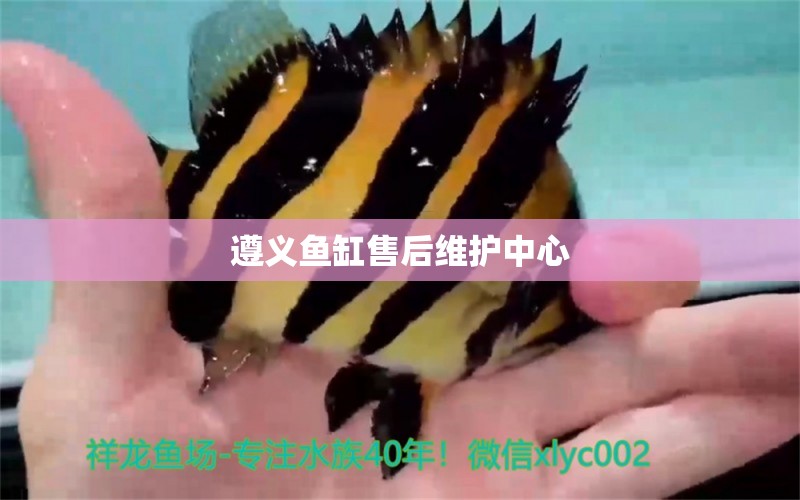 遵義魚缸售后維護(hù)中心 其他品牌魚缸