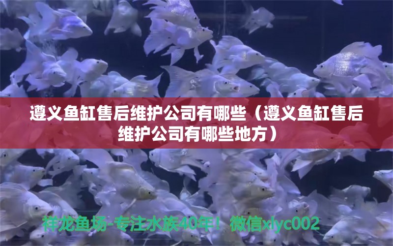 遵義魚(yú)缸售后維護(hù)公司有哪些（遵義魚(yú)缸售后維護(hù)公司有哪些地方） 其他品牌魚(yú)缸