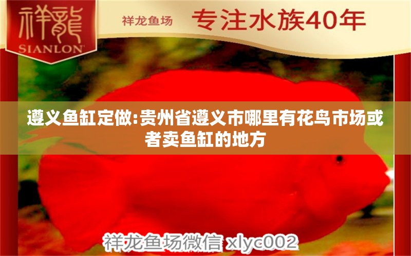 遵義魚缸定做:貴州省遵義市哪里有花鳥市場或者賣魚缸的地方