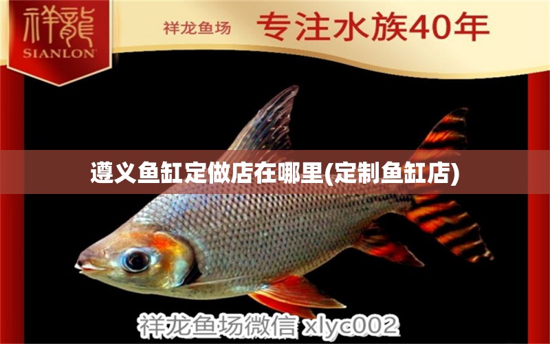 遵義魚缸定做店在哪里(定制魚缸店) 巨骨舌魚