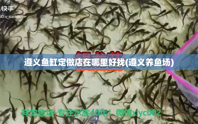 遵義魚缸定做店在哪里好找(遵義養(yǎng)魚場) 龍鳳鯉魚 第1張