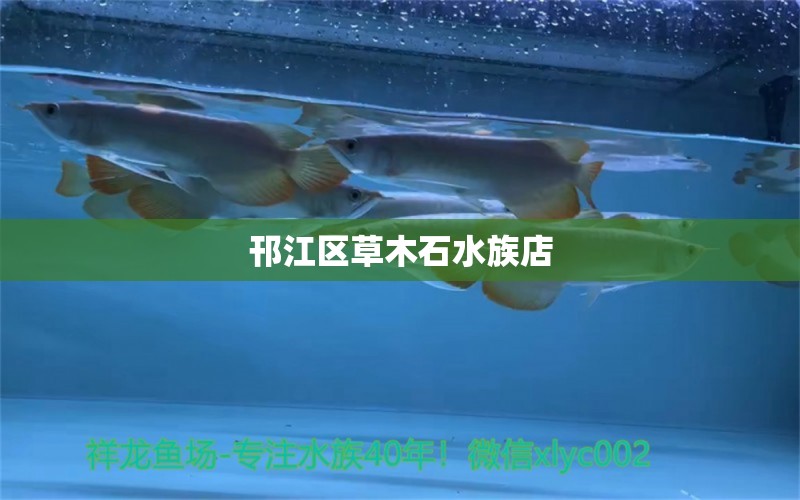 邗江區(qū)草木石水族店 全國(guó)水族館企業(yè)名錄