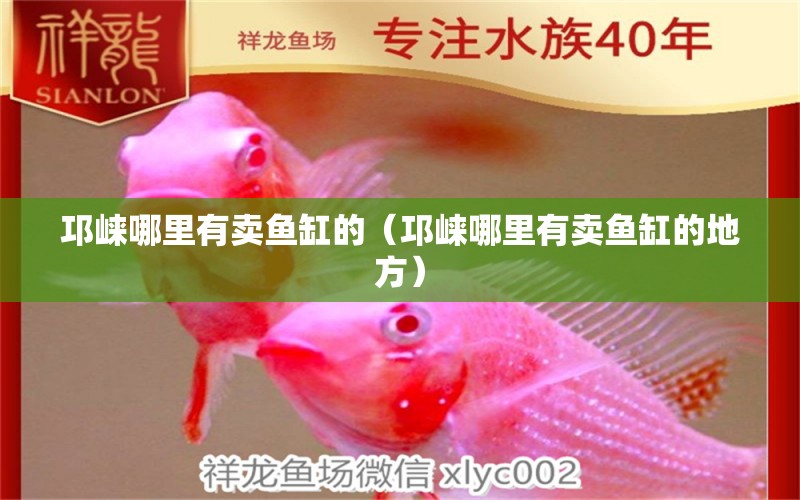 邛崍哪里有賣魚缸的（邛崍哪里有賣魚缸的地方）