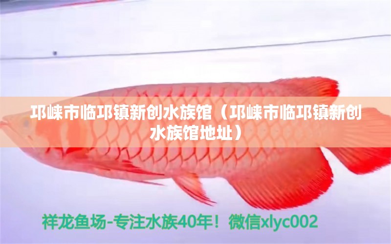 邛崍市臨邛鎮(zhèn)新創(chuàng)水族館（邛崍市臨邛鎮(zhèn)新創(chuàng)水族館地址）