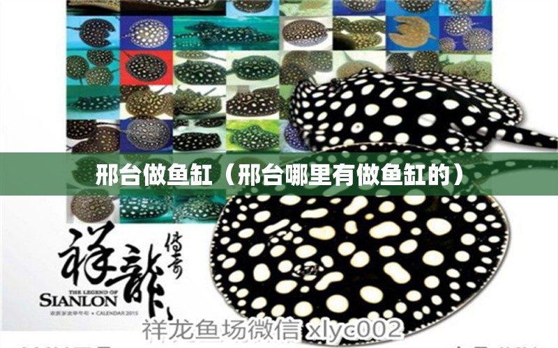 邢臺做魚缸（邢臺哪里有做魚缸的） 其他品牌魚缸