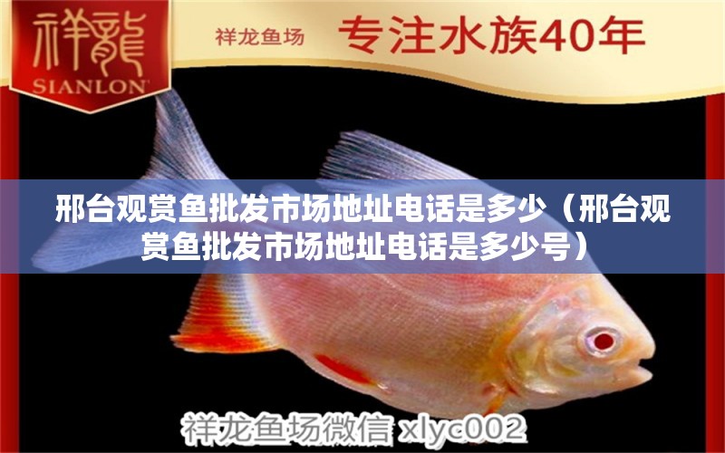 邢臺觀賞魚批發(fā)市場地址電話是多少（邢臺觀賞魚批發(fā)市場地址電話是多少號）