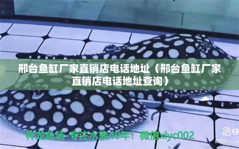 邢臺(tái)魚缸廠家直銷店電話地址（邢臺(tái)魚缸廠家直銷店電話地址查詢）