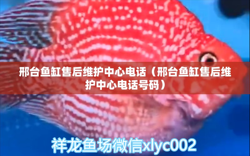 邢臺魚缸售后維護中心電話（邢臺魚缸售后維護中心電話號碼） 其他品牌魚缸