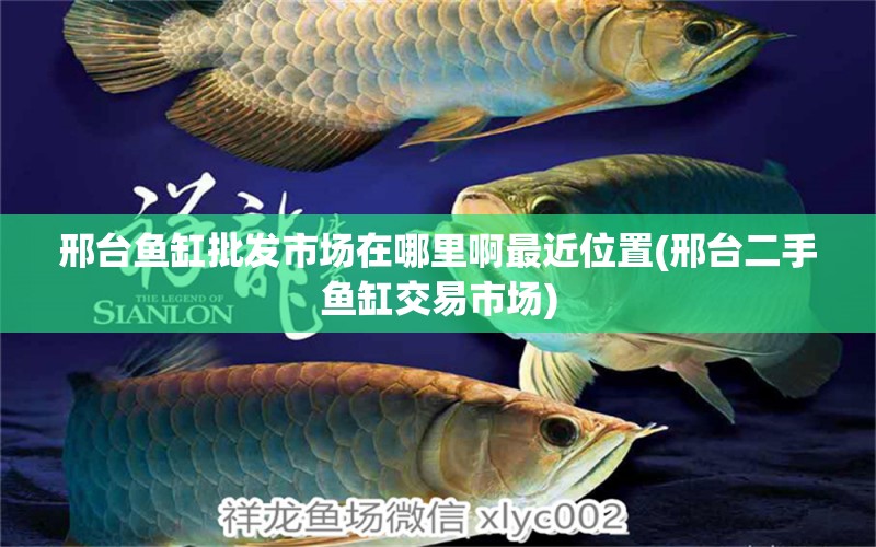 邢臺(tái)魚缸批發(fā)市場(chǎng)在哪里啊最近位置(邢臺(tái)二手魚缸交易市場(chǎng)) 委內(nèi)瑞拉奧里諾三間魚苗