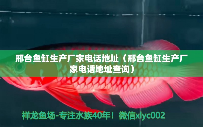 邢臺(tái)魚缸生產(chǎn)廠家電話地址（邢臺(tái)魚缸生產(chǎn)廠家電話地址查詢）