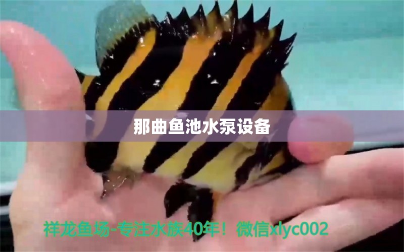 那曲魚池水泵設(shè)備 廣州水族器材濾材批發(fā)市場(chǎng)