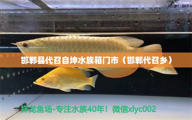 邯鄲縣代召自坤水族箱門市（邯鄲代召鄉(xiāng)）