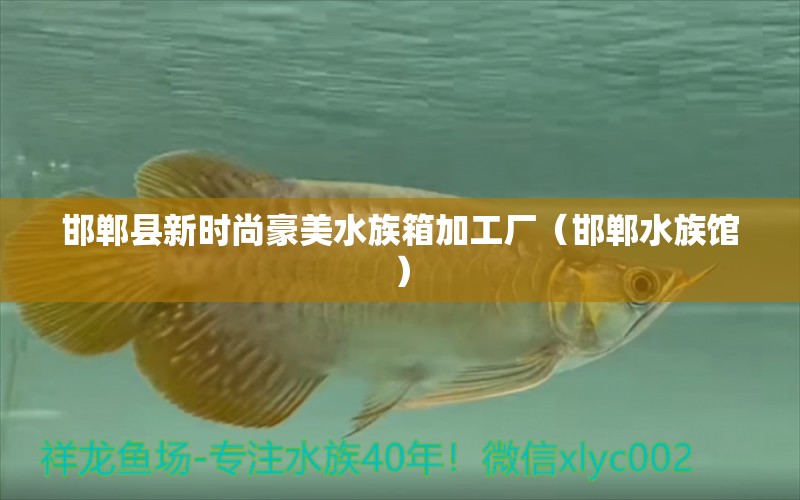 邯鄲縣新時(shí)尚豪美水族箱加工廠（邯鄲水族館） 魚缸/水族箱